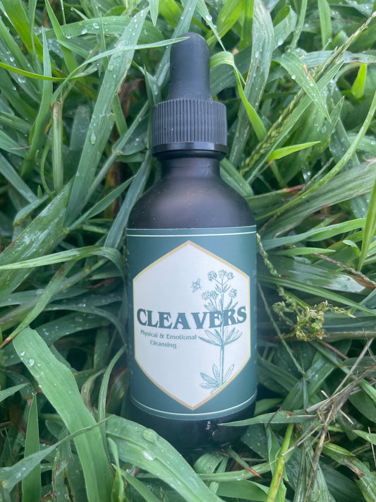 Cleavers Tincture