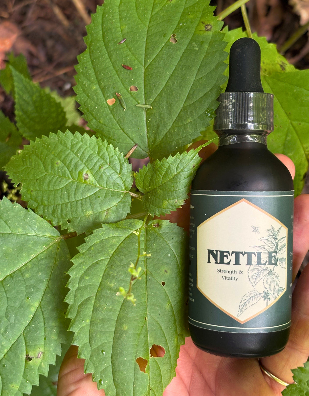 Nettle Tincture 2oz