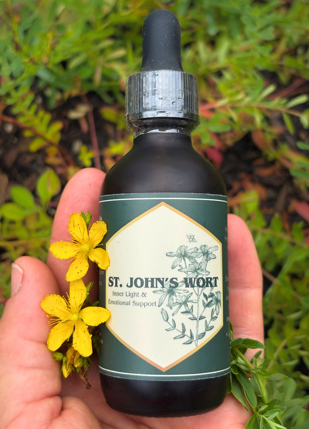 St. John's Wort Tincture