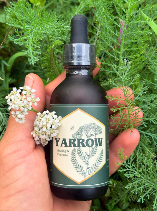 A hand holds a dark amber glass dropper bottle labeled YARROW Healing & Protection, surrounded by yarrow leaves and flowers.